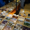 mineralexpo6