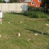 slavnost2016-064