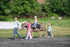 Kácení máje 2010